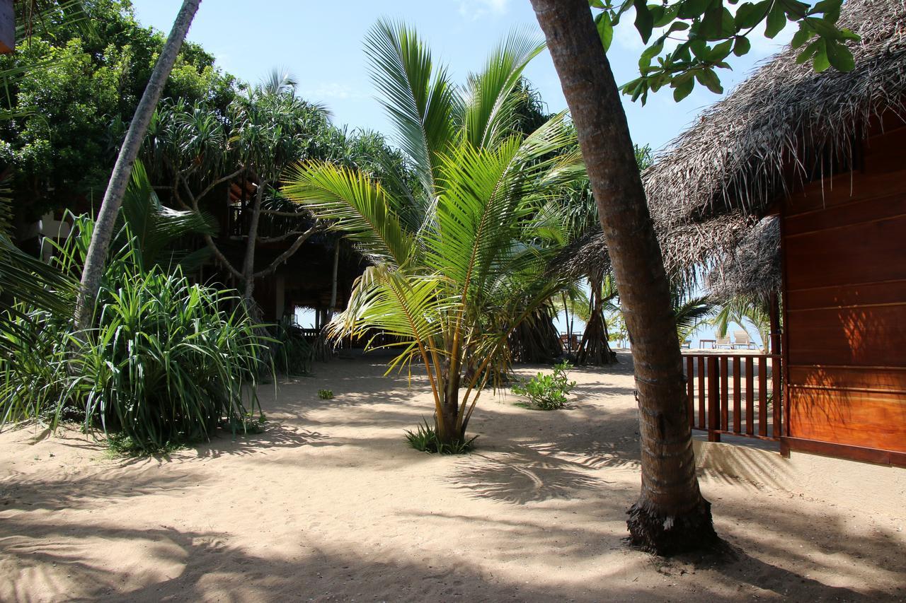 Shiva'S Beach Cabanas Tangalle Esterno foto